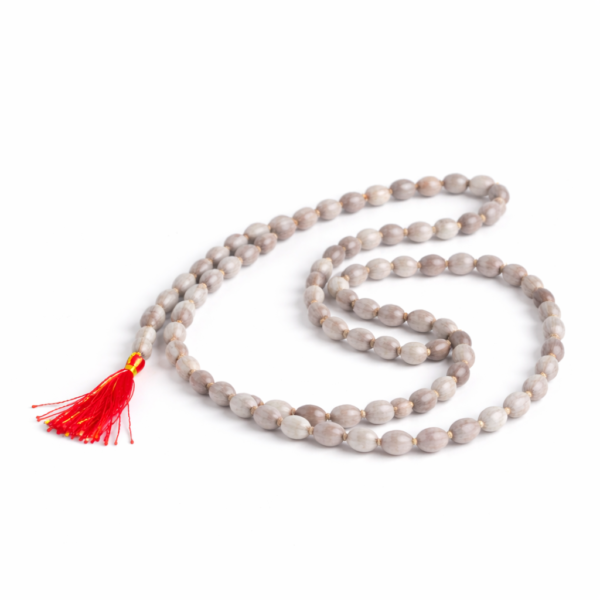 Shree Samrajyalakshmi Devi Anugraha Raksha Maale